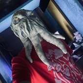 Octopulse