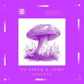 Violeta