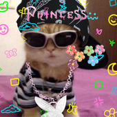 Avatar for veeapplesauce