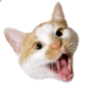 Avatar for tadukro