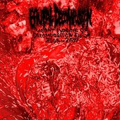 Violent Purging Of Decomposition Fluids 2005​-​2009