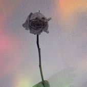 IMG_20240304_212748_218.jpg