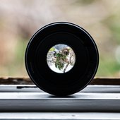 Places, Pictures
