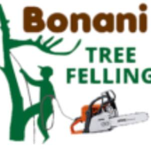 Avatar for treefellingcent