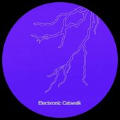Electronic Catwalk