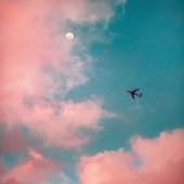 The Cotton Candy Creamery