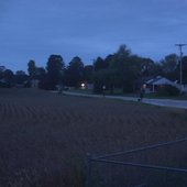 will the media depict us as lovers? (from the film Divine Hammer)