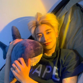 Xaiisgay 的头像