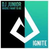 Where I Want to Be - Single