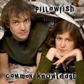 Common Knowledge
