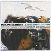 Permanent Waves