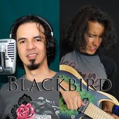 Blackbird promo pic