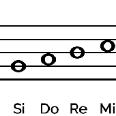 poiluquesito 的头像
