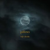pillows cover photo