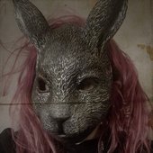 swamprabbit.jpg