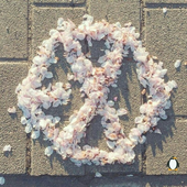 exo_exol 的头像