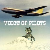 Voice of Pilots