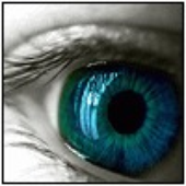 Avatar for kula26