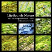 Life Sounds Nature - Best Relaxing Meditation Music and Nature Sounds