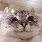 Kizuliiniz 的头像