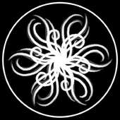 Avatar for staileng