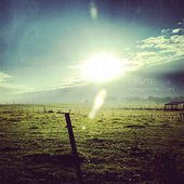 Attraction to Light