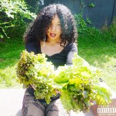 Cover of lettuce lungs by Chioma.jpg