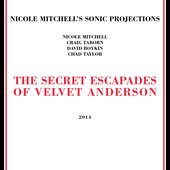 The Secret Escapades of Velvet Anderson