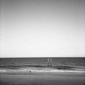 Surfer Girl