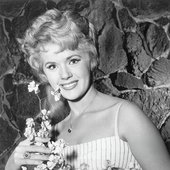conniestevens10