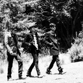 Los Impresionistas