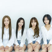 PRIMROSE_new_lineup_profile_photo_(2).png