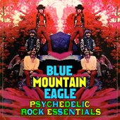 Psychedelic Rock Essentials
