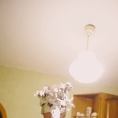 IMG_20230727_072619.jpg
