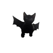 avatars-cTauUymYSDWnzh0Y-eefc6g-original.jpg