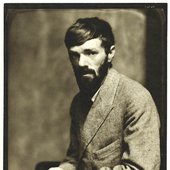 dhlawrence