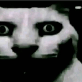 Avatar für F3RALSL4SH