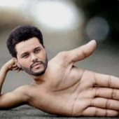 Avatar for abeltesba3