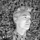 David Byrne