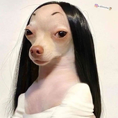 lilpeot 的头像
