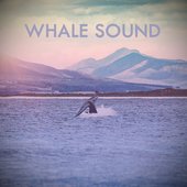 Whale Sound