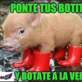 a9a90b1ab40d0a703cd43d476c504e51.jpg