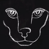 Avatar for rochox