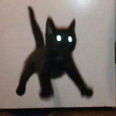 Limeyfr 的头像