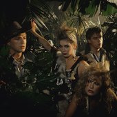 bucks_fizz_jungle.jpg