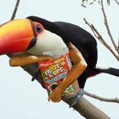 dieegoo__ 的头像
