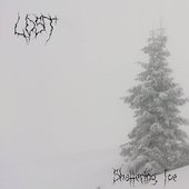 Lost