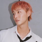 I'll Never Love Again