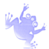 kanetoad için avatar