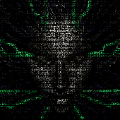MagnifiedMoth 的头像